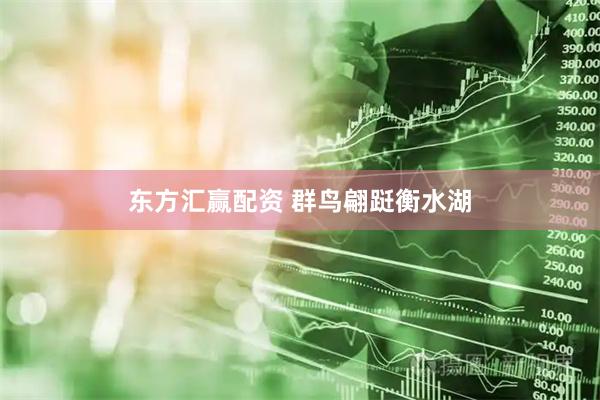 东方汇赢配资 群鸟翩跹衡水湖