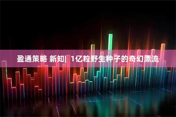 盈通策略 新知|  1亿粒野生种子的奇幻漂流