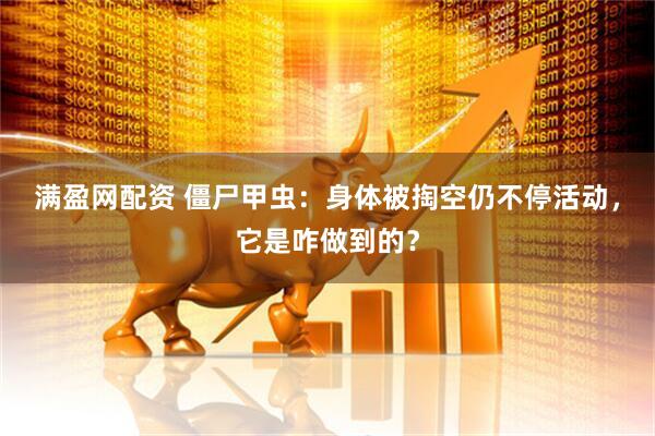 满盈网配资 僵尸甲虫：身体被掏空仍不停活动，它是咋做到的？