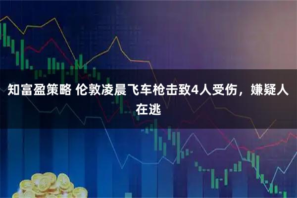 知富盈策略 伦敦凌晨飞车枪击致4人受伤，嫌疑人在逃