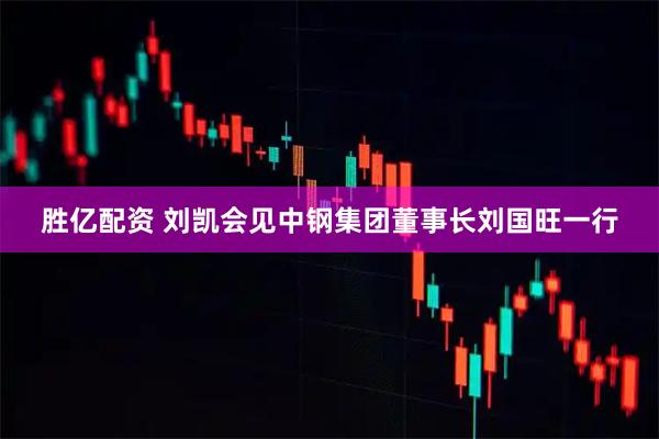 胜亿配资 刘凯会见中钢集团董事长刘国旺一行